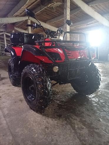 Квадроцикл утилитарный, 4x4, красный/чёрный - Полноразмерная рама с