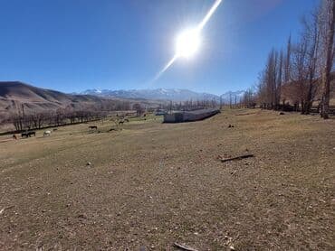 сколько стоит 2х комнатная квартира в бишкеке: Продаю Кошара, 150 соток, Действующий, С оборудованием, Электричество, Холодная вода — 8