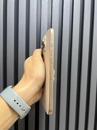 iphone xr в корпусе 13 pro: IPhone 16 Pro Max, Б/у, 256 ГБ, Золотой, Чехол, Зарядное устройство, Защитное стекло, В рассрочку, 95 % — 5