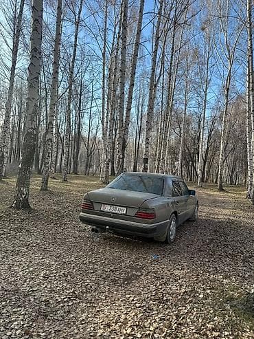 Транспорт: Mercedes-Benz W124: 1990 г., 2.6 л, Автомат, Бензин, Седан — 3