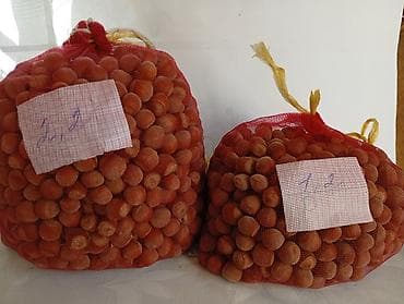 Уход и хранение одежды: Продаю орех Фундук (лесной орех) со своего сада. Цена 1400 за кг — 3