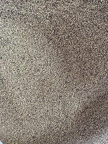 клубника в бишкеке цена: Бэде урук сатылат жогорку сапат тазаланган оптом и в розницу оптом — 2