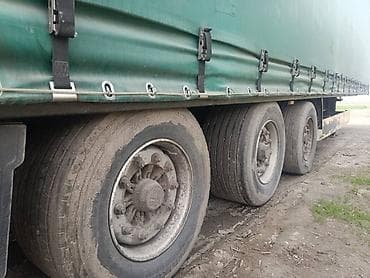 bbs 4 100: Тягач, DAF, 2002 г., Шторный — 10