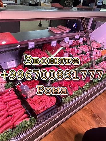 Ваш холодильник – наша забота! ❄️ Профессиональный ремонт