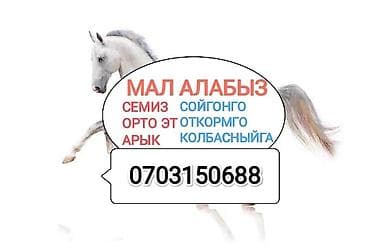 био корма: Колбасный цех : Лошади, кони, | Любое состояние — 1