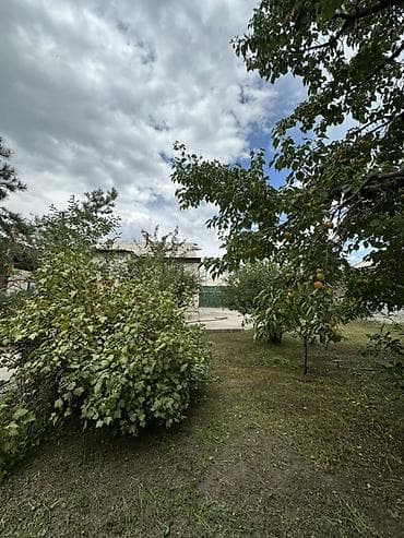 Продажа домов: Сдаеться дом в аренду отдыхающим 5 комнатный, души туалет внутри,и — 8