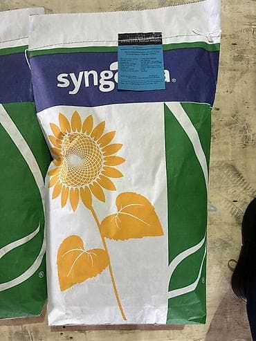 инсектицид: Семена подсолнечника Syngenta NK Neoma (гибрид) - Культура — 1