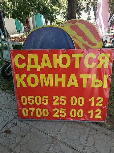 3 3: - садовая зона с плодовыми деревьями (абрикосы), скамьи и топчаны для — 5