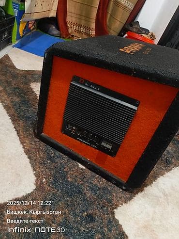 магнитол авто: Сабвуфер DL Audio PIRANHA 12A в комплектном корпусе с портом - — 3