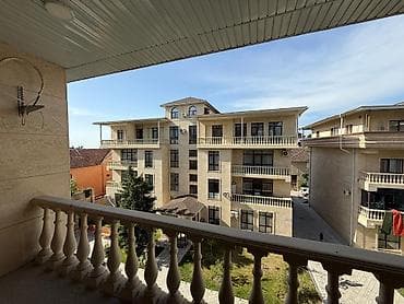 Декоративные цветы: 3 комнаты, Собственник — 1