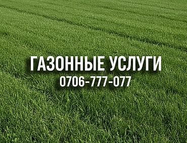 камни 50: Газонные услуги 
10-мм до 60-мм ширина 2-4 метр — 1