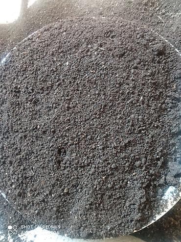 туя колоновидная цена бишкек: Плодородный грунт (универсальный субстрат)Биогумус - Состав — 1