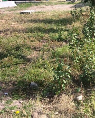 дом на иссык куле купить: 4 соток, Курулуш, Кызыл китеп — 5