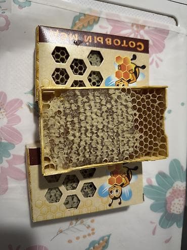 медовые соты: Сотовый мёд 🍯 — 2