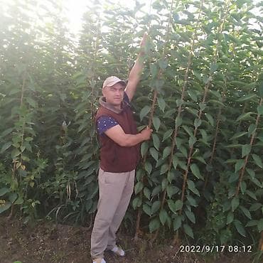 Канцтовары: Другие товары для дома — 4