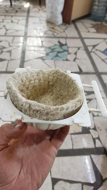 Үй жаныбарлары: Гнезда для птиц и попугаев — 6