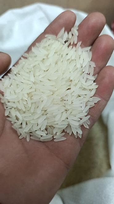 ривьера картофель: Рис Gold Rice, сортированный (Saralangan Guruch) - Тип: белый — 1