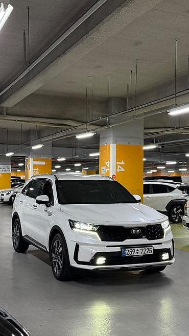 2020: Kia Sorento: 2020 г., 1.6 л, Автомат, Гибрид — 2