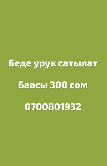 Семена клевера (беде) на продажу. Цена: 300 сом. Прекрасно подходит