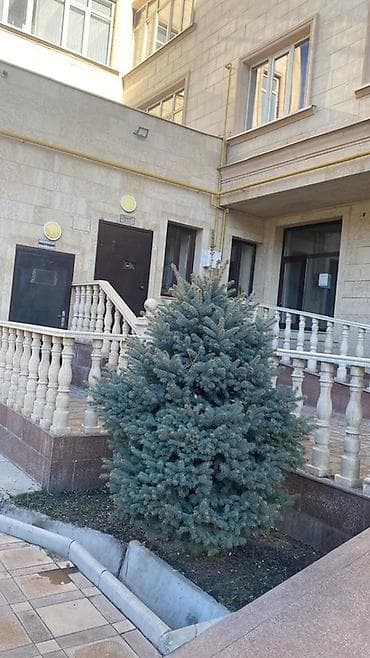 Куплю квартиру: 2 комнаты, Собственник, Без подселения, С мебелью полностью — 5