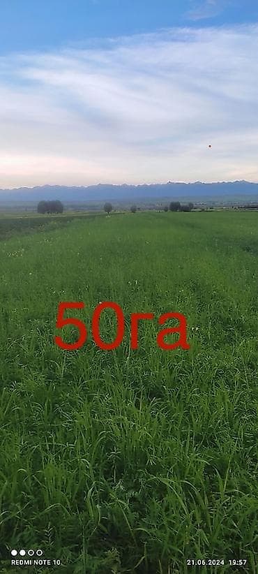 клетка для курицы: Земельный участок Сельскохозяйственного назначения Идеальный вариант — 1