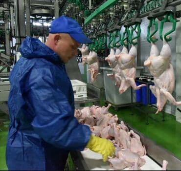 перевод с турецкого на кыргызский: Требуется Упаковщик, Оплата: Дважды в месяц, Без опыта — 3