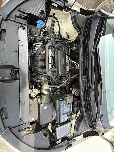 ford kuga: Kia Stonic: 2019 г., 1.4 л, Автомат, Бензин, Кроссовер — 10