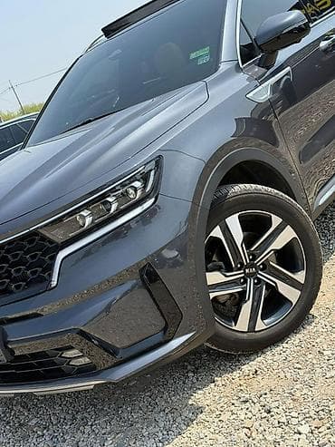 100 перохдка: Kia Sorento: 2020 г., 1.6 л, Автомат, Гибрид, Кроссовер — 6