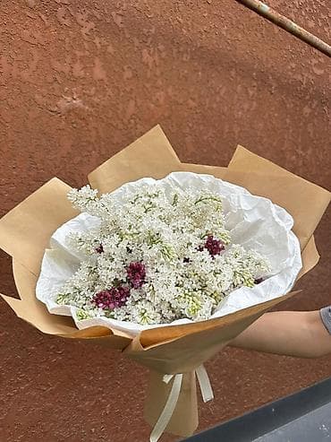 цветы сирень: Букет из сирени дешевые НА ЛЮБУЮ ЦЕНУ ДЕЛАЕМ 400 2000 БЫСТРО И — 3