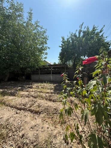 дом офицеров: ПРОДАЕТСЯ 5 КОМНАТНЫЙ ДОМ В Ж/М АК-ОРГО!!! Кол-во комнат: 5 Площадь — 20