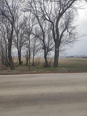 продаю участки: 50 соток, Для сельского хозяйства — 2