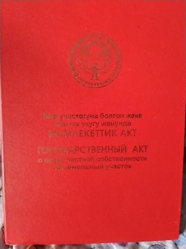 Жер тилкелери: 4 соток, Кызыл китеп — 1