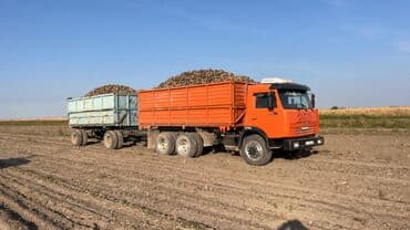 Коммерциялык транспорт: Жүк ташуучу унаа, Камаз, Стандарт — 3