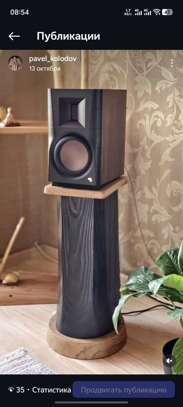 акустические системы портативные колонка череп: Продам активную Акустическую систему HiVi Svan D300. Новая только — 6