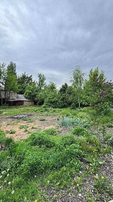 4 соток, Курулуш, Кызыл китеп