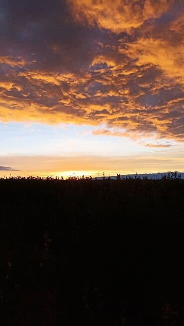 сколько стоит побелить потолок: Натяжной потолок Глянцевое, Матовое, 3D потолки Монтаж, Гарантия, Демонтаж — 27