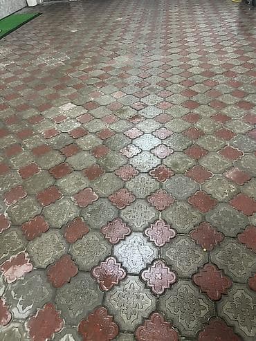 сколько стоит фикус: Б/У Тротуарная плитка «Клевер» (фигурная) 100 квадратных метров Цена — 2