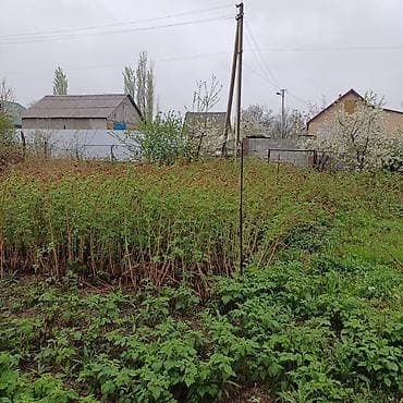 5 соток, Курулуш — 8