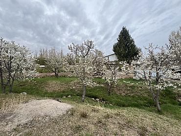 куплю баню: Продается Фазенда 52соток красная книга, ест все коммуникации свет 3х — 5