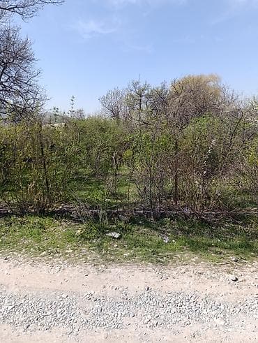 куплю участок кой таш: 5 соток, Для сельского хозяйства, Красная книга — 3