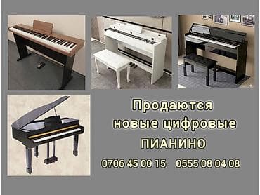 гитара 1000сом: Г. Ош Продаются новые цифровые пианино. Доставка по Кыргызстану — 1