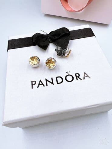 Киреге берилүүчү кийимдер: Серебряные Шармы для браслетов Пандора — 8