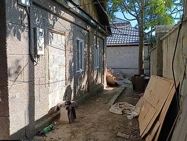 Недвижимость: Срочно продаю дом в районе аламединского рынка все условия. новый — 7