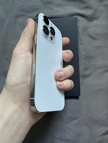 mate 20: IPhone 16 Pro, Б/у, 256 ГБ, White Titanium, Зарядное устройство, Защитное стекло, Чехол, 98 % — 4