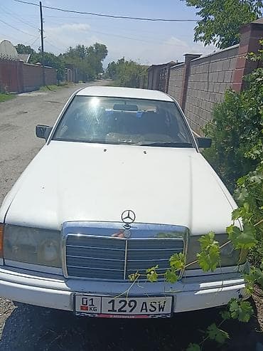 Mercedes-Benz W124: 1988 г., 2 л, Автомат, Бензин, Седан — 1