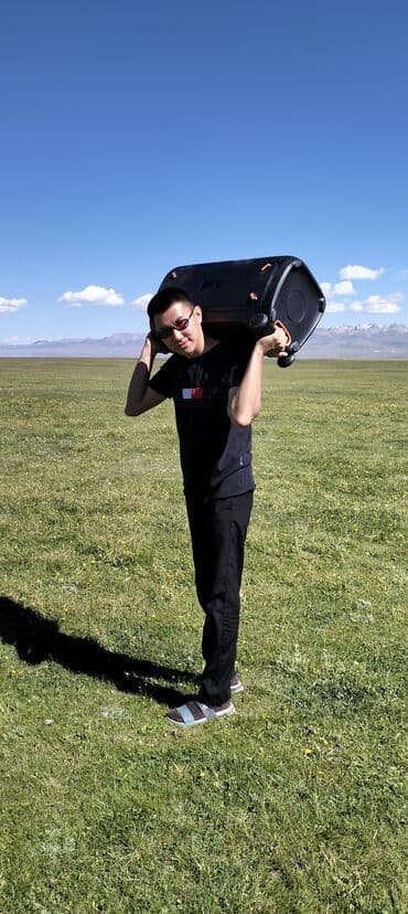 микрофоны караоке: Колонка. Аренда JBL(USA) 240W, Bluetooth. Аренда микрофона(2шт) — 12