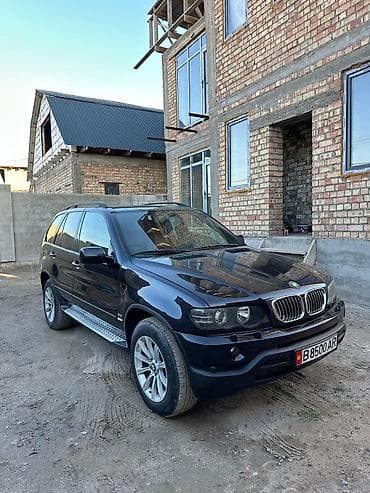 x5 4 8: BMW 523: 2003 г., 3 л, Автомат, Бензин, Кроссовер — 3