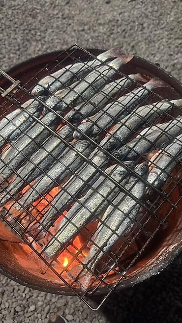 утиная грудка бишкек: СВЕЖАЯ ФОРЕЛЬ ЦЕНА 500 сом 
Отправка в регионы — 8