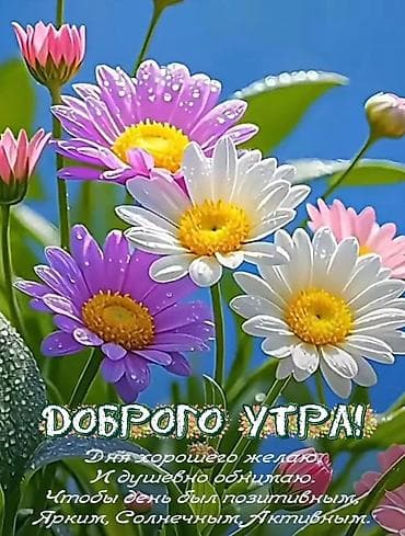 мойка машина: Техничка. Ищу постоянную работу или подработку. С ежедневной оплатой — 1