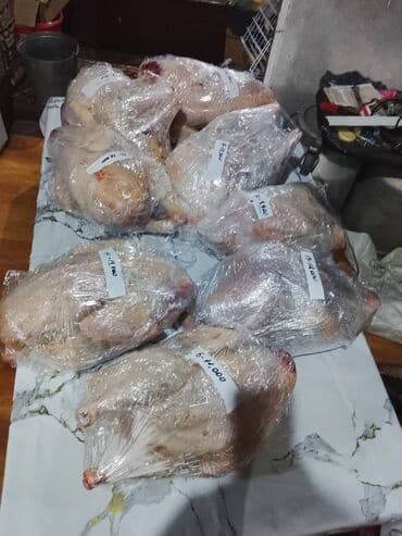 мясо токмок: Күрп :, 10 кг ашык — 7